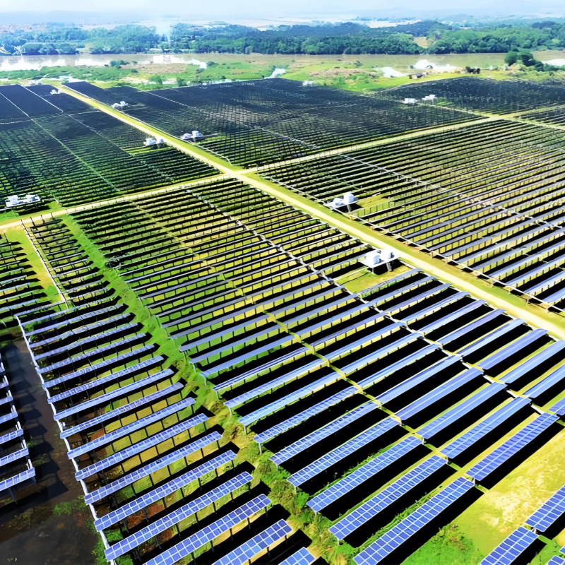 Struttura di supporto per pannelli fotovoltaici resistente al vento forte specifica per il terreno, portante per carichi pesanti e resistente alla corrosione