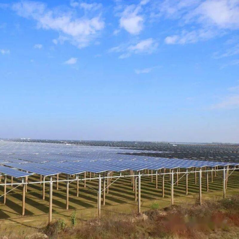 Staffe di montaggio solari a terra che offrono una forte resistenza al vento e al carico di neve con un design unico a palo e componenti preassemblati
