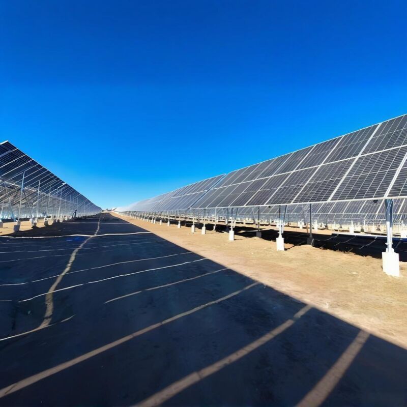 Staffe di montaggio solare a terra realizzate in acciaio zincato resistente con un design unico a palo che fornisce un montaggio stabile dei moduli solari